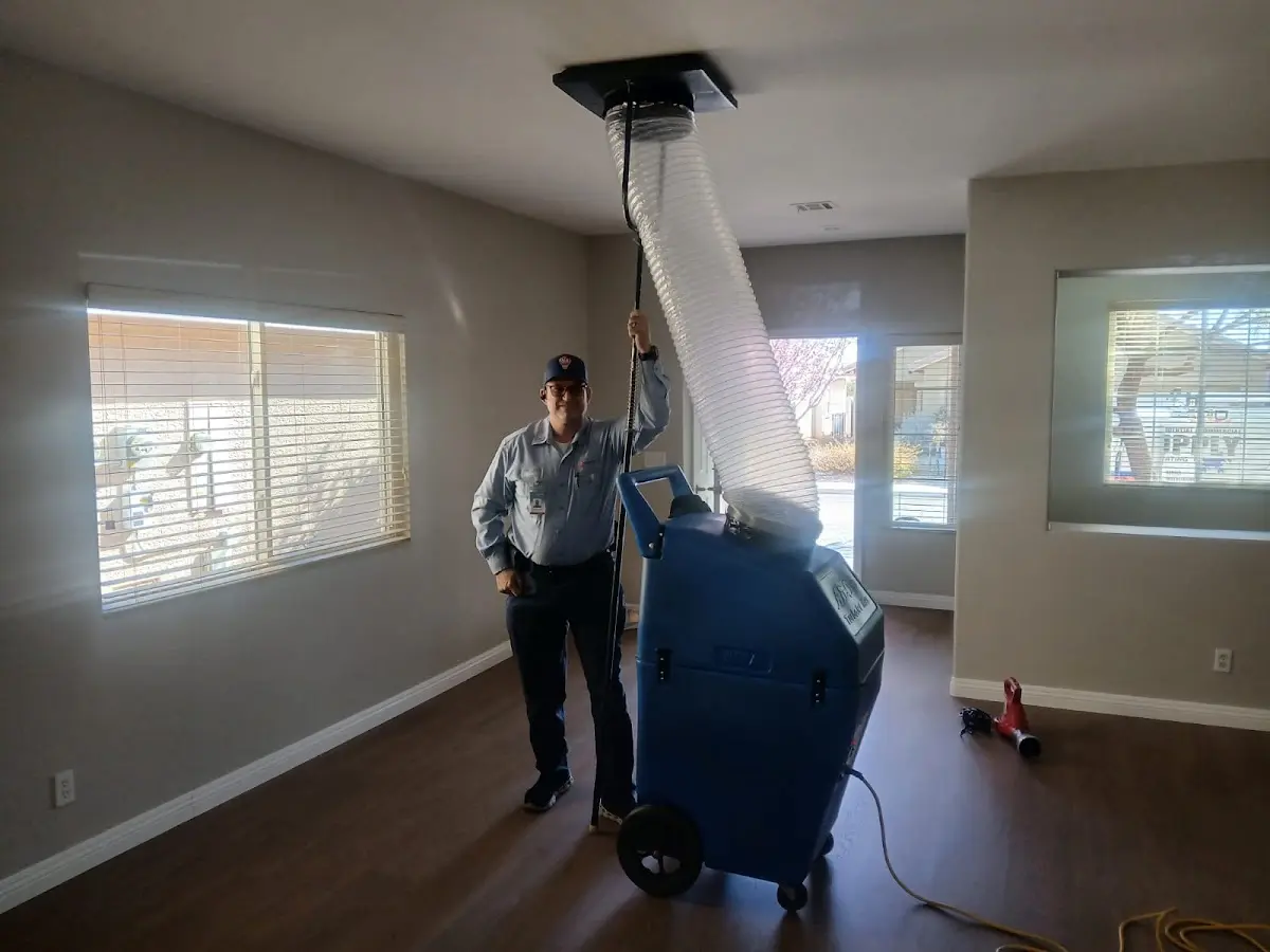 Professional Dryer Vent Cleaning work inside a Westwego home